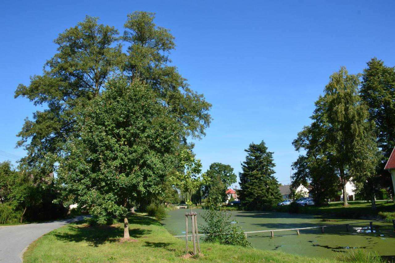 Penzion U Podkovare Trebon Bagian luar foto